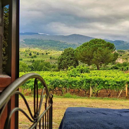 Suite In Vigneto Passopisciaro Exterior photo